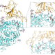 Cryo-EM scans of part of SARS-CoV-2 (in gold) interacting with part of the ACE2 protein (in blue)